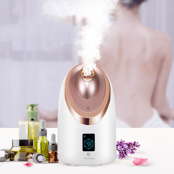 Facial Steamer Nano Spray Moisturizing Instrument Hot Spray Humidifier Steam Household